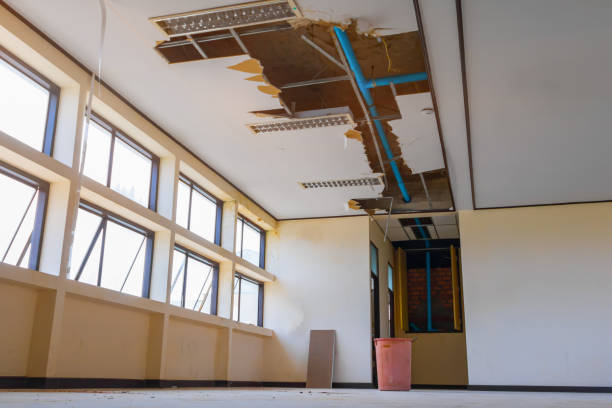 Best Carpet water damage restoration  in Clay, CA
