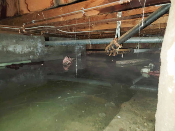 24/7 water damage repair in Clay, CA