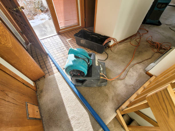 Best 24-hour water damage restoration  in Clay, CA