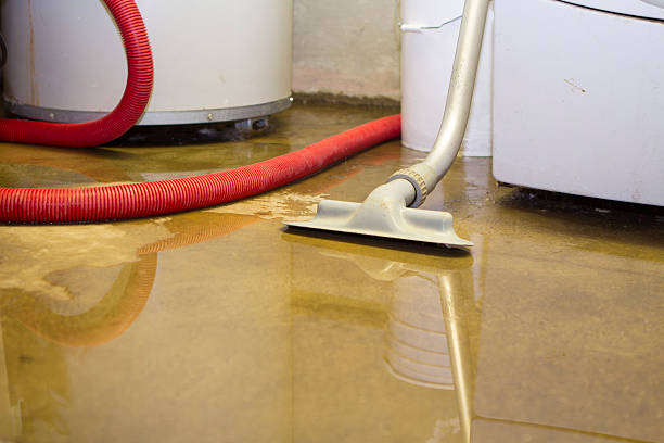 Best Local water damage restoration  in Clay, CA