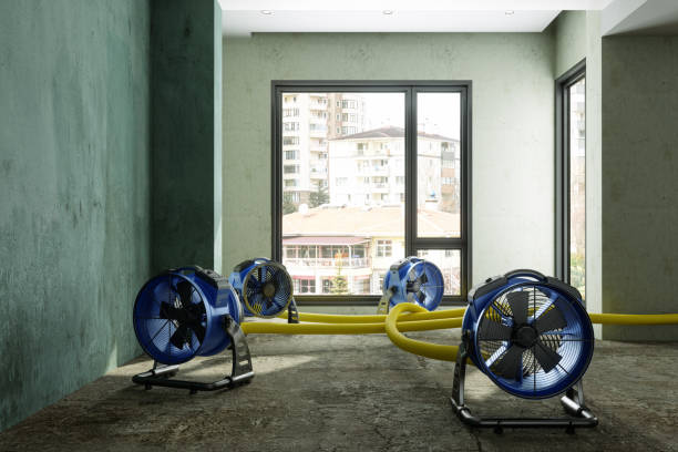 Best Flood restoration services  in Clay, CA